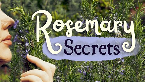 5 Rosemary Secrets You Need To Know 🌿 Memory & Hair Growth