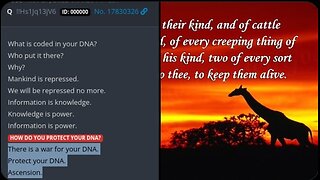 🧬 Q 4966 & Genesis 6:20 | Protect Your DNA | New Decoding Technique