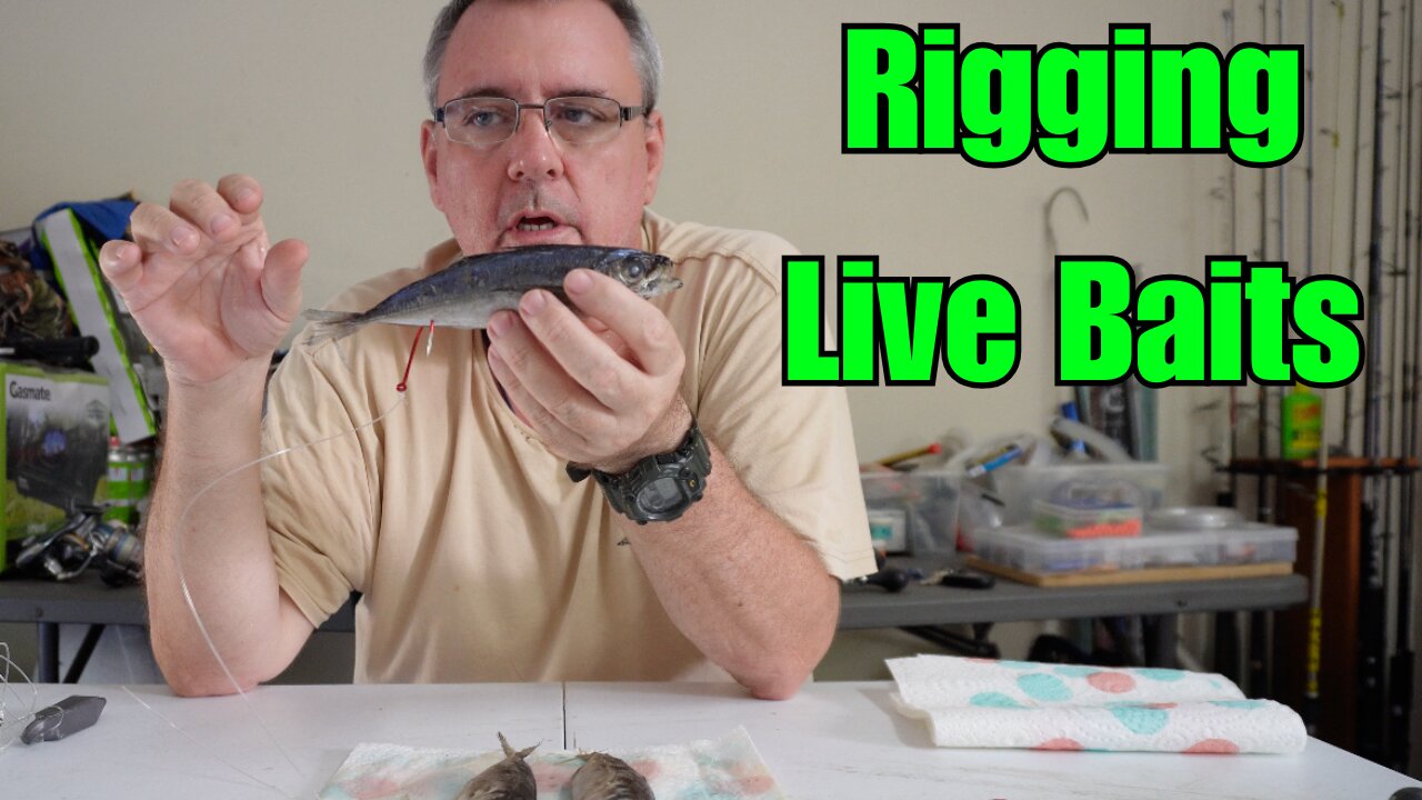 Stop Rigging Live Bait Wrong! Try These 3 Ways