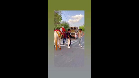 भाई चोट तो नही लगी