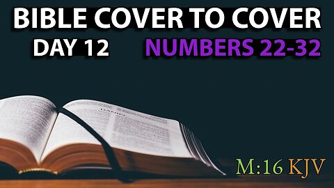 Day 12 | Numbers 22-32 | Bible Cover to Cover