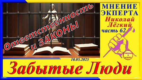Ответственность и ЗАКОНЫ - ч . 62 МНЕНИЕ ЭКСПЕРТА Николай Легкий