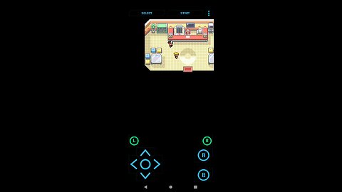 Pokémon GAIA part 6 | More attempts