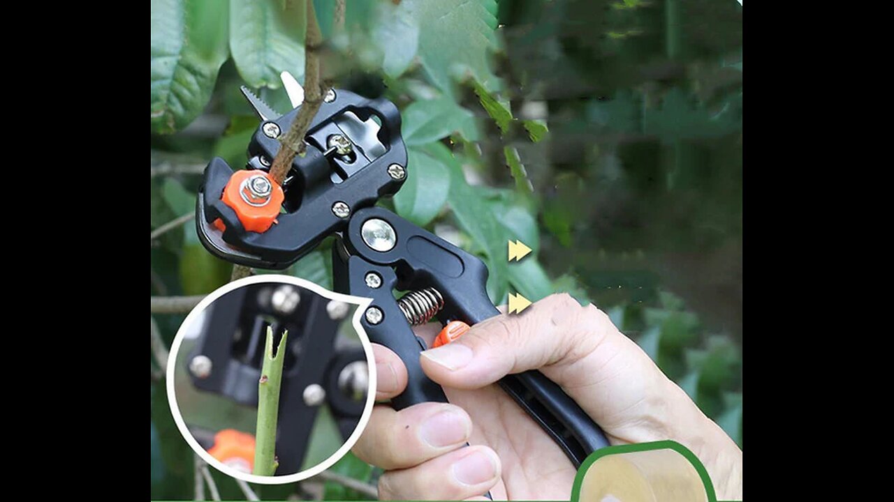 Manual Tree Grafting Scissors