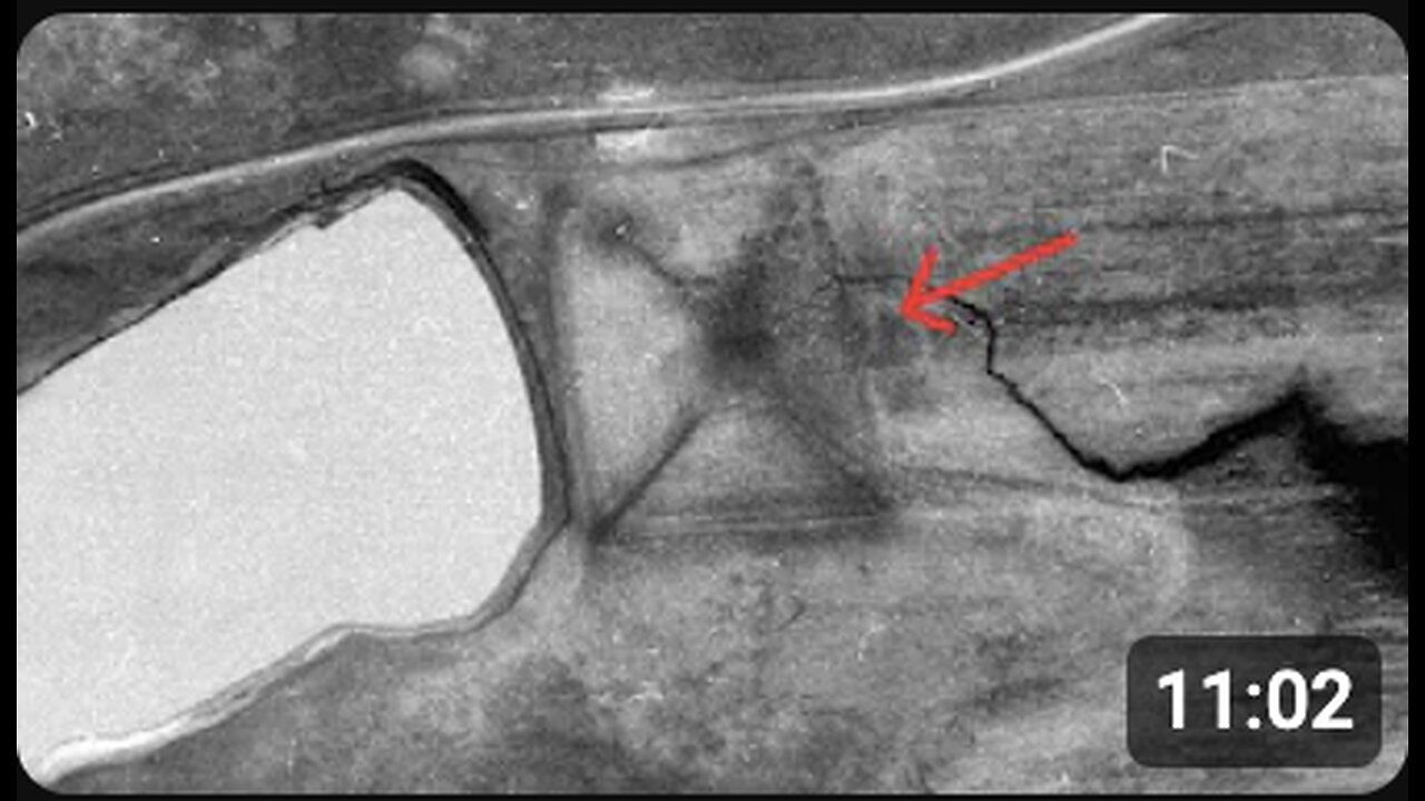 "Discovering Something Extremely Odd and Uncharted!"