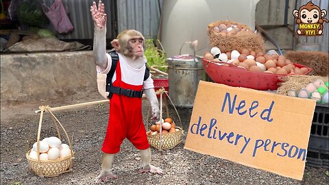 YiYi delivers eggs to earn money to buy potatoes to cook for YinYin