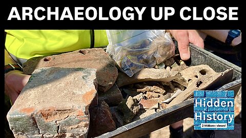 Witnessing archaeology live in historic St Albans - butchered bones and a mystery coin found