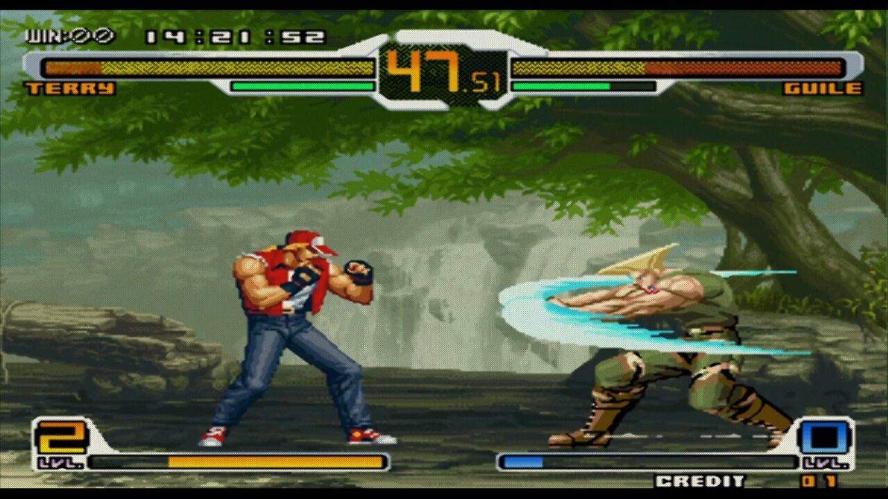 Terry vs Guile