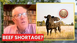 The LEAST Amount of COWS Since 1950? Joel Salatin on the Beef Shortage
