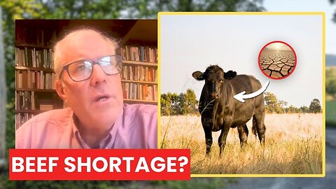 The LEAST Amount of COWS Since 1950? Joel Salatin on the Beef Shortage