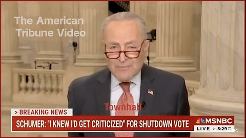 Watch: Defeated Chuck Schumer Calls MAGA "Bastards" During MSNBC Appearance