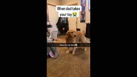 when dad takes your toy 😭