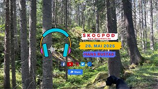 Skogpod 28. mai 2025