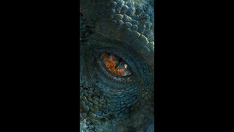 4K+60FPS | Quality settings in bio! #indominusrex #jurassicworld #dinosaurs #edit #fypシ #movie