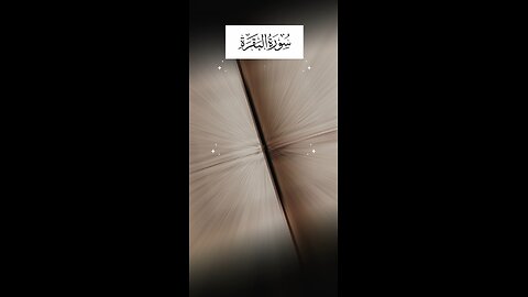 Follow if you Love Allah / Surah Al Baqarah Ayat 65 #IslamicVideo #LearnQuran #QuranTranslation