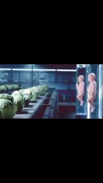 CABBAGE PATCH BABY CLONES MADE TO POPULATE AFTER THE RESET ☠️