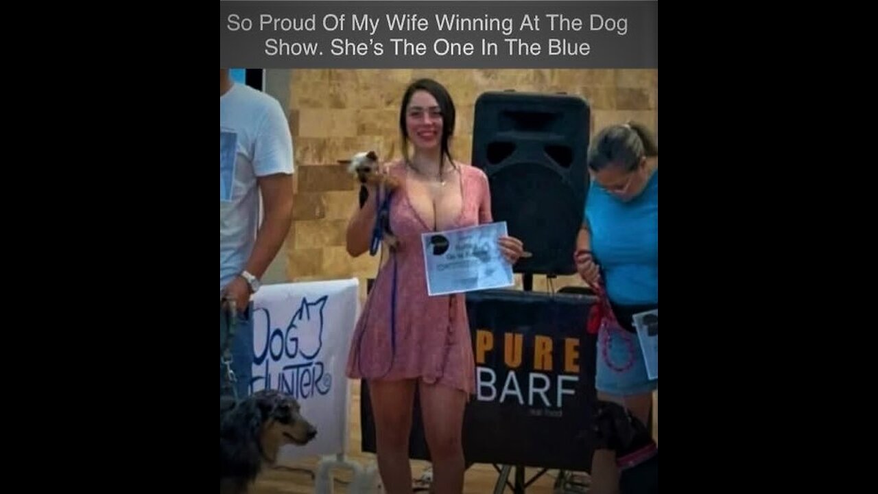 7725 Funny Laugh Out Loud Hilarious Memes Jokes Cartoons