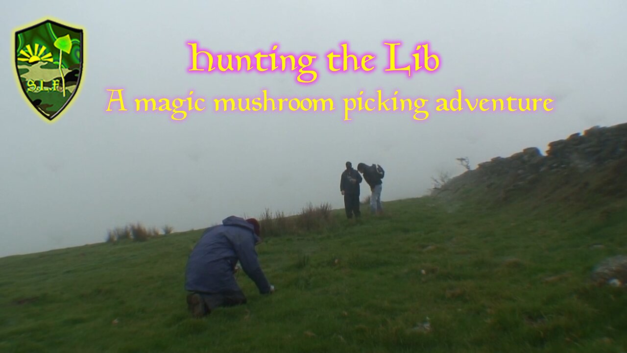 Hunting The Lib Trailer 2025 - The quest to find England's native Magic Mushroom - the Liberty Cap, (Psilocybe semilanceata)