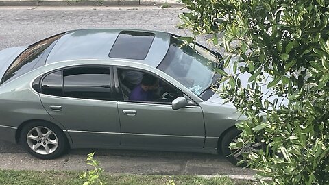 Blasian Babies DaDa Narc'ed On Two Niggers Smoking Dope & Littered Public Street Via Municipal App!