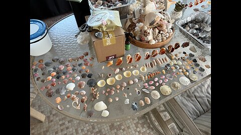 Beach Finds 11/28/2025 & 11/30/2025 | 4K