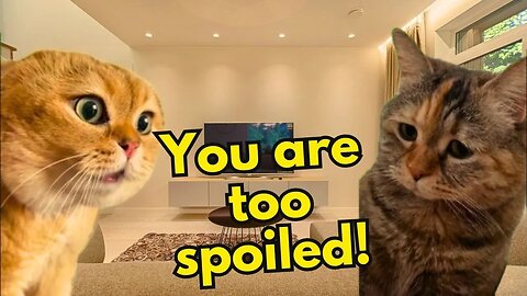 When your Girlfriend Thinks You're too Spoiled (Ep.9)