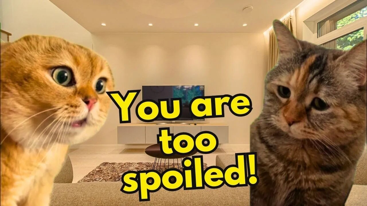 When your Girlfriend Thinks You're too Spoiled (Ep.9)
