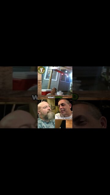 Discovering the Surprising Origins of CDL: What Does it Really Stand For?