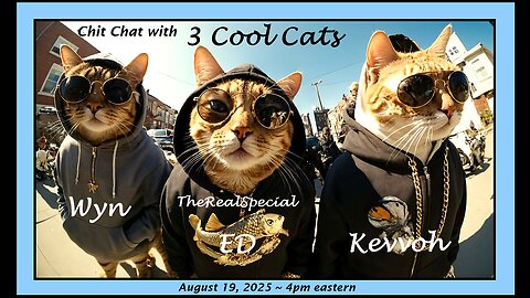 Tuesday Afternoon Chit Chat ~ TheRealSpecialED, Kevvoh71 & Wynters