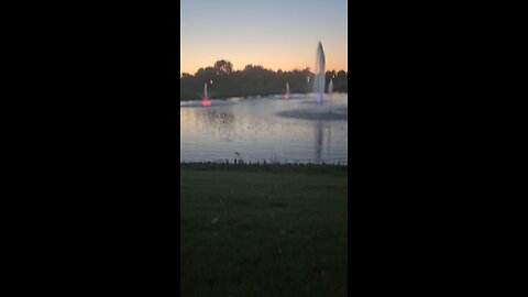 My Peaceful Place - I Thought we Were Done With this Assassination BS 40 Years Ago