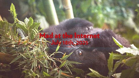 Gorilla Nest (July 18th, 2025) - Mad at the Internet