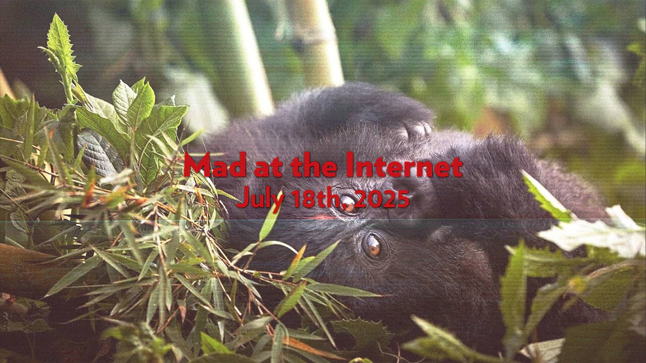 Gorilla Nest (July 18th, 2025) - Mad at the Internet