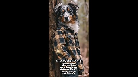 Creative author uses neural networks for a project about fashionable dogs