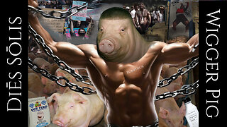 Diēs Sōlis -74- The Wigger Pig