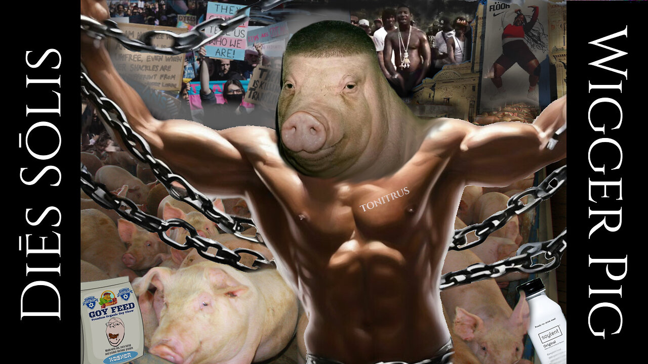 Diēs Sōlis -74- The Wigger Pig