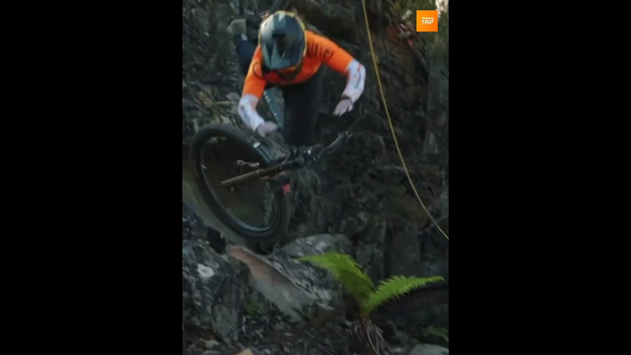 Simplang Trip 203: Bicycle forest exhibition jump accidentally fell down to push-ups exercise.