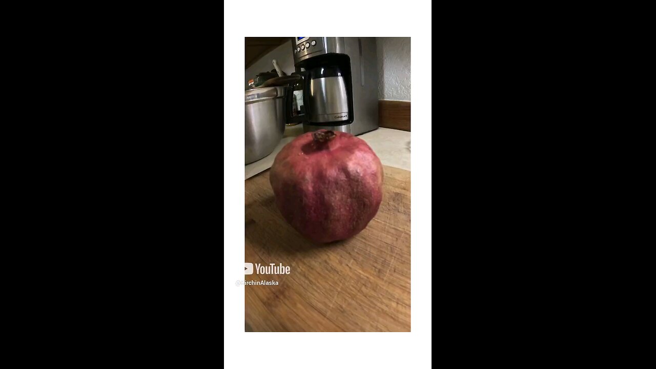 Growing Pomegranates (Part 1)