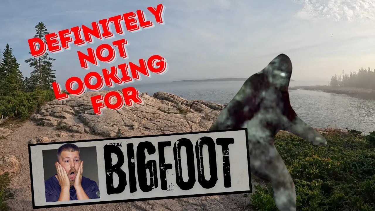 Definitely Not Looking For BIGFOOT
