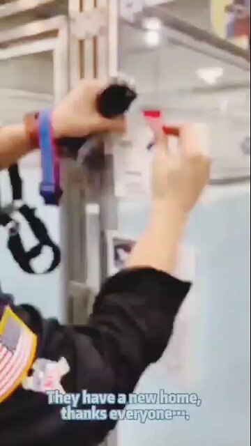 happiest moment to meet our new family moments dog