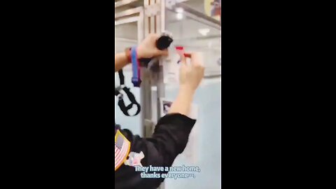 happiest moment to meet our new family moments dog