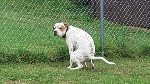 Cubby on TFE