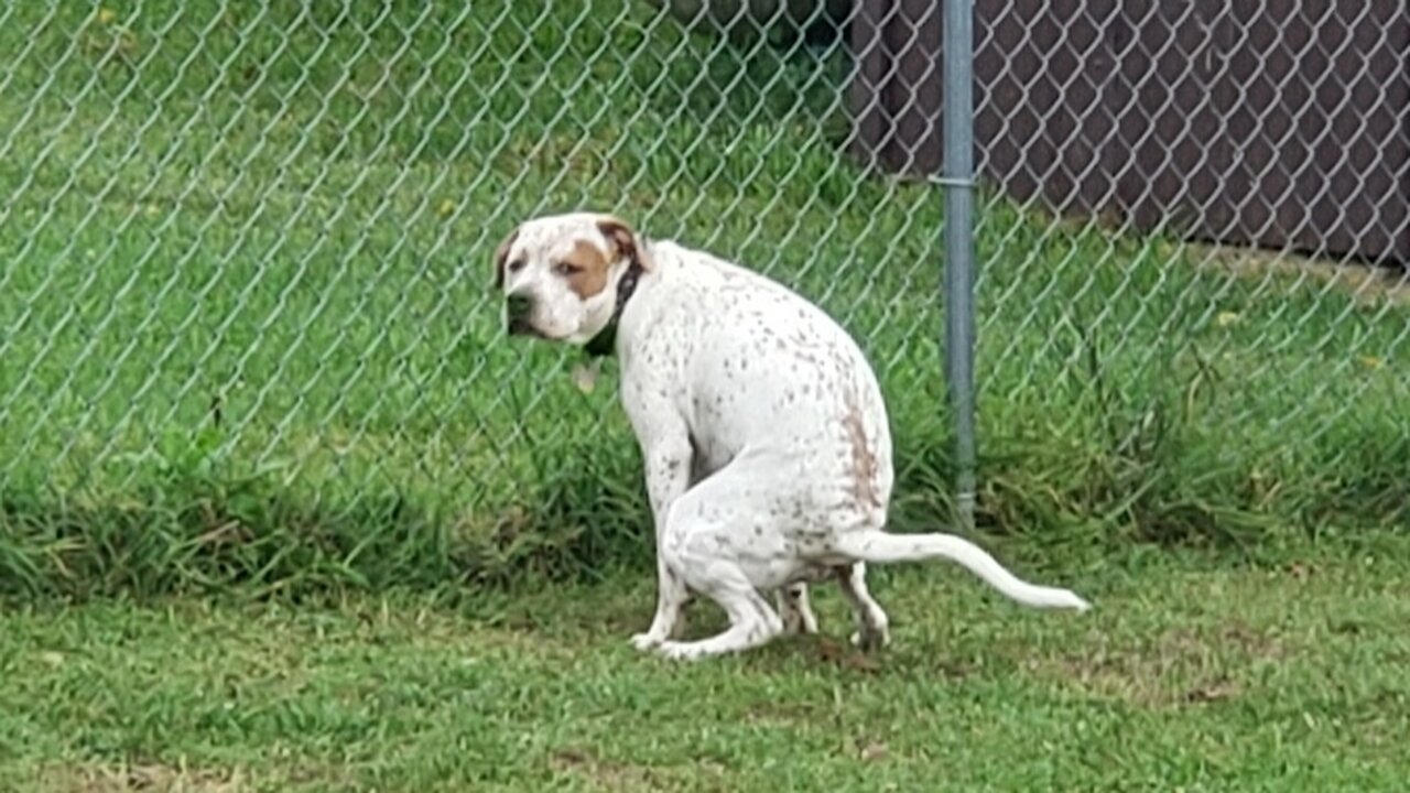 Cubby on TFE