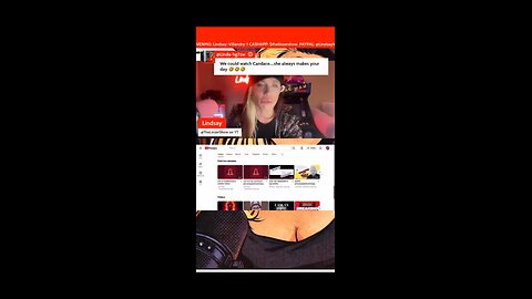 Aaron Smith-Levin v Lindzer