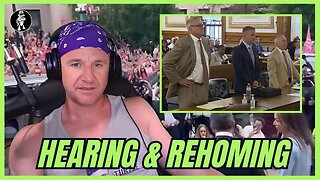 Ep790 - Turtleboy's Day in Court | Karen Read Cops Rehomed