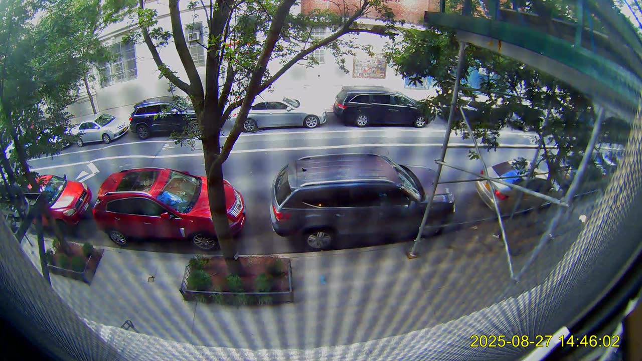 Red vehicles