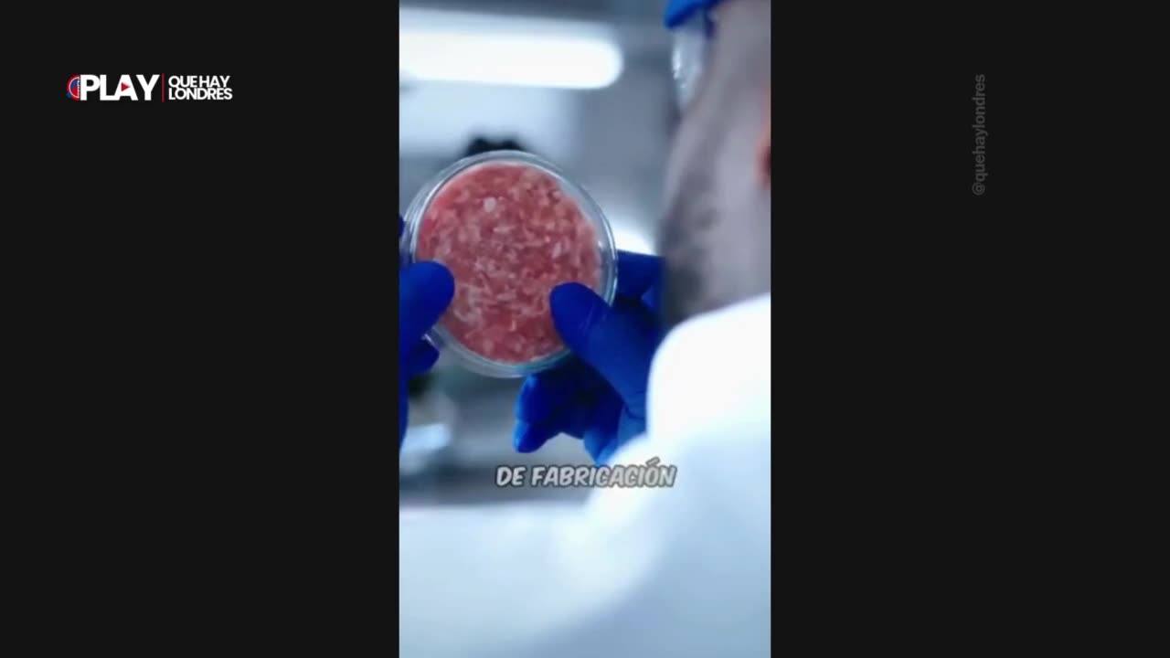 Reino Unido podría autorizar la venta de alimentos cultivados en laboratorio