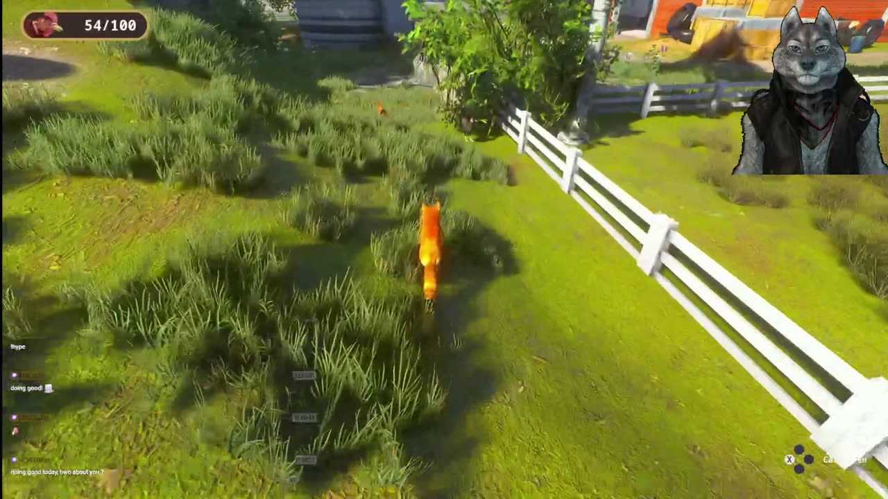 Stream 319: Chill Fox