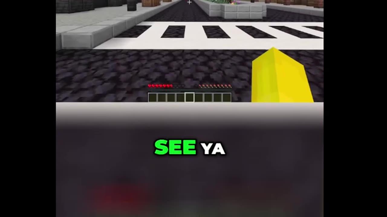 Minecraft WORLDWIDE Hide & Seek