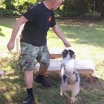 Leash Handling Skills short 2a