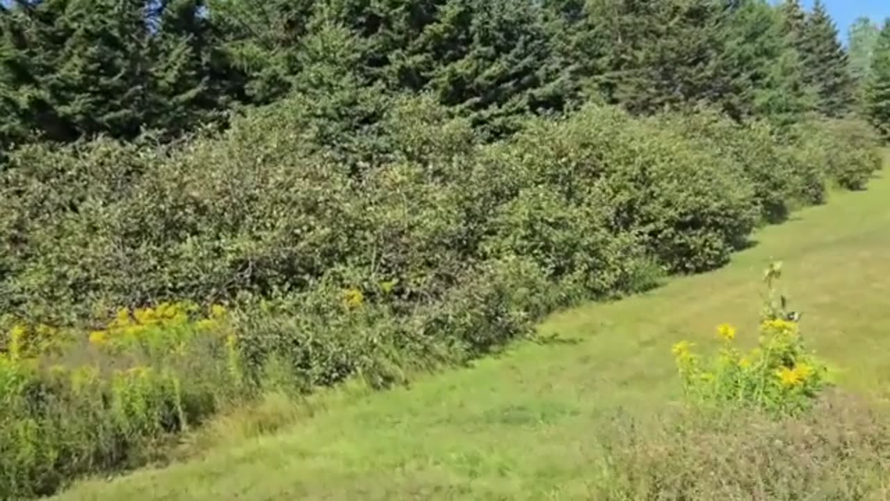 Challenging the heavy Nova Scotia entrance fine