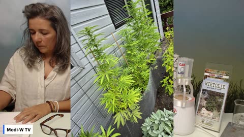 Spoedcursus Super CBD met Wernard